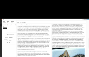 Split view content editor with Markdown support