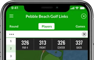 BEEZER GOLF screenshot 2