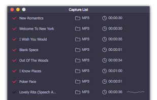 AudFree Audio Capture for Windows screenshot 1