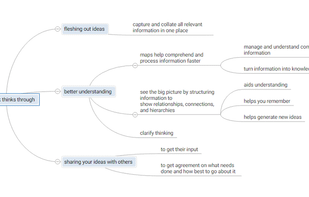 The Barvas Mapping interface
