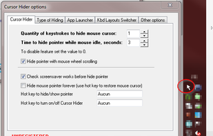 Cursor Hider screenshot 1