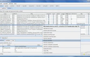 Burp Suite screenshot 1