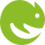 Chameleon WebExtension icon