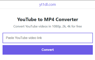 YT1DL.com screenshot 1