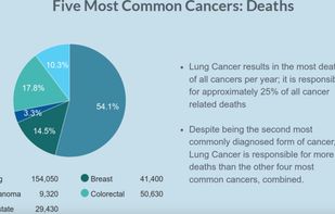 RiskAverse screenshot 2