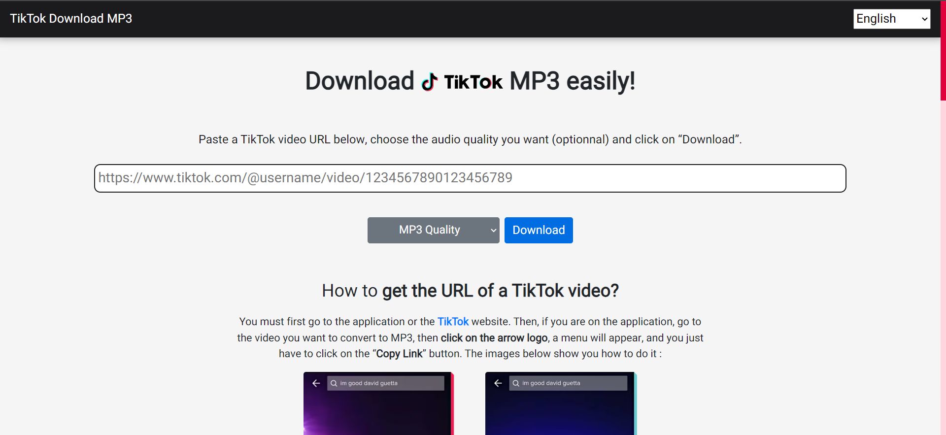 Online TikTok MP3 Downloader - Download and Convert TikTok Videos to MP3  music.