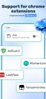 Mask Browser screenshot 2