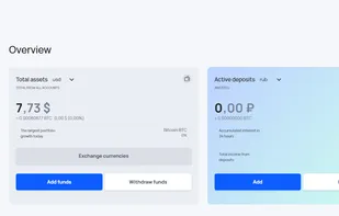 Visionwallet screenshot 1