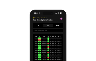 Mobile Web Application Option Flow View
