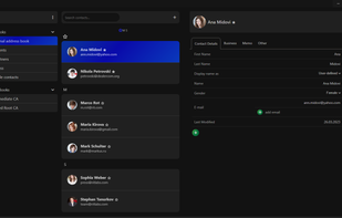 The Bat screenshot 3