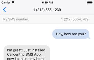 Callcentric screenshot 1