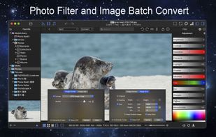 ImageOne screenshot 1