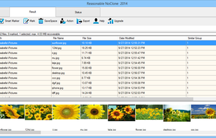 NoClone screenshot 2