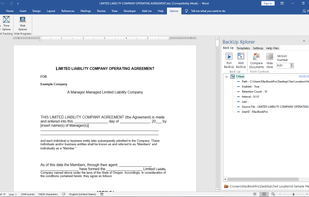 BackUp Xplorer In The Microsoft Word Task Pane