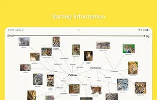 MindSpace screenshot 3