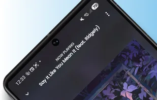 SimpMusic screenshot 1