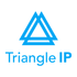 Triangle IP icon