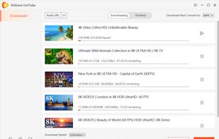 VidJuice UniTube screenshot 2