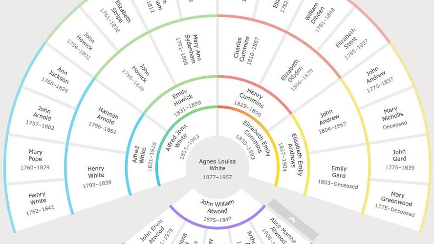 Gramps Alternatives 25+ Genealogy Tools & Similar Apps AlternativeTo
