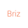 Briz Framework Icon