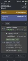 Bitcoin Simple Wallet screenshot 2