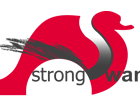 strongSwan icon