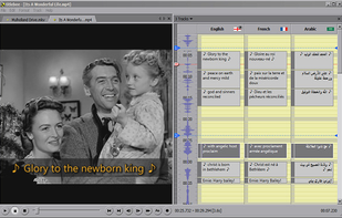 Subtitling