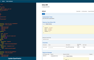 SwaggerGo screenshot 1