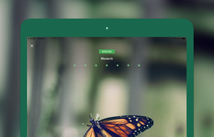 Seek by iNaturalist screenshot 1