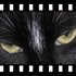PhotoFilmStrip icon