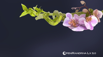 OpenMandriva Lx 5.0 is now powered by Linux Kernel 6.6 LTS, KDE Plasma 5.27, and more image
