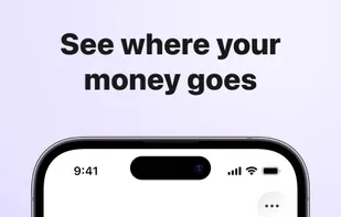 Budget Hound screenshot 1