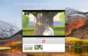 SnapMotion screenshot 1