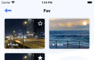 This is the folder inside the video thum display you can play that
