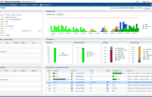 Oracle Database screenshot 1