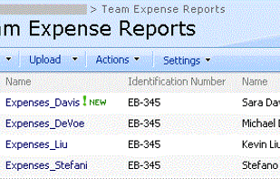 InfoPath screenshot 2