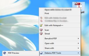 Debenu PDF Tools screenshot 1