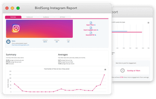 BirdSong Analytics screenshot 1