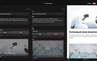 Primo.af screenshot 2