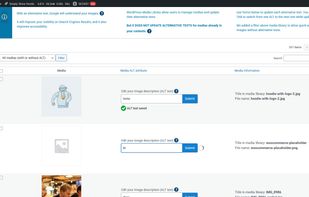 SEOKEY ALT editor