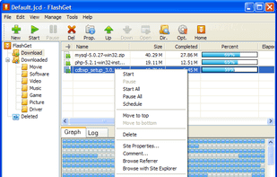 FlashGet screenshot 1
