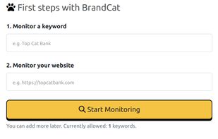 First step - add your first brand keyword and website to monitor. Keyword can be your company name, product name - anything