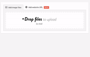 RealEye screenshot 2