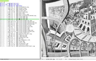 With PopViewer extension, browsing pictures