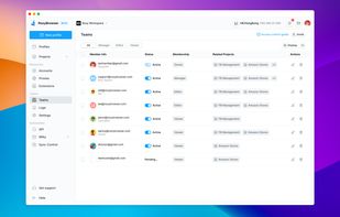 RoxyBrowser screenshot 2