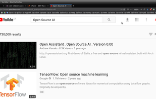 Open Assisant screenshot 3