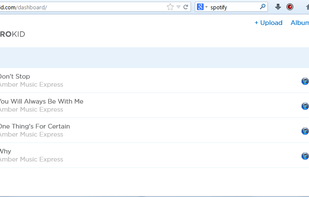 DistroKid screenshot 1