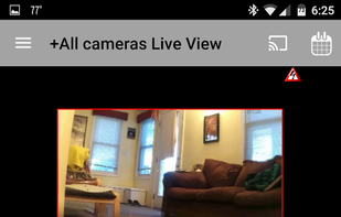Blue Iris screenshot 3