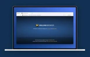 Mullvad Browser screenshot 2