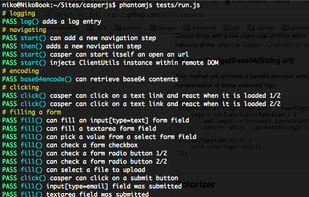 CasperJS screenshot 1